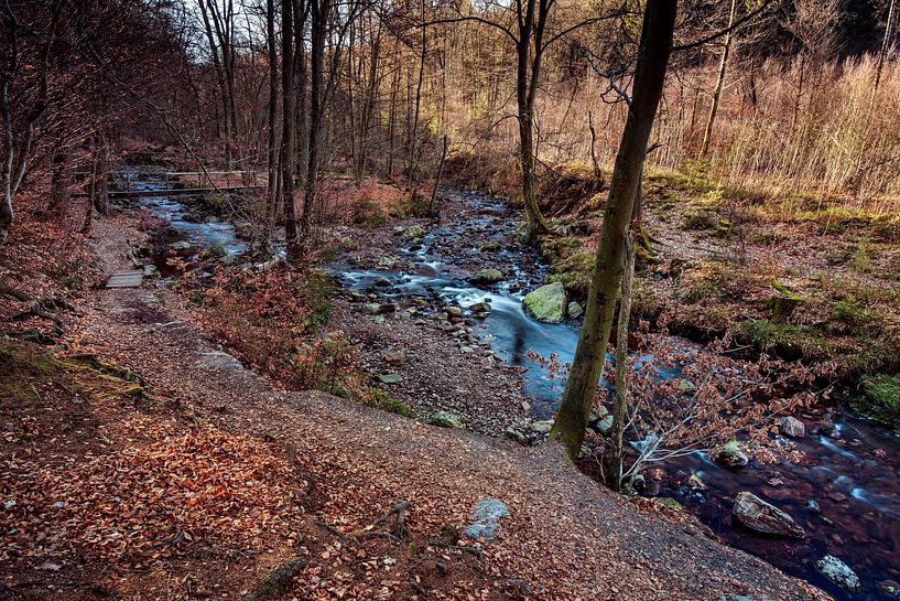Mountain river La Hoëgne by Rob Boon