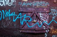 Violette Fensterläden mit Graffiti – urbane Wandkunst | türkise Linie & Vorhängeschloss