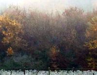 Impressionistisch bosland