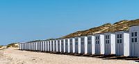 Beach houses on Texel