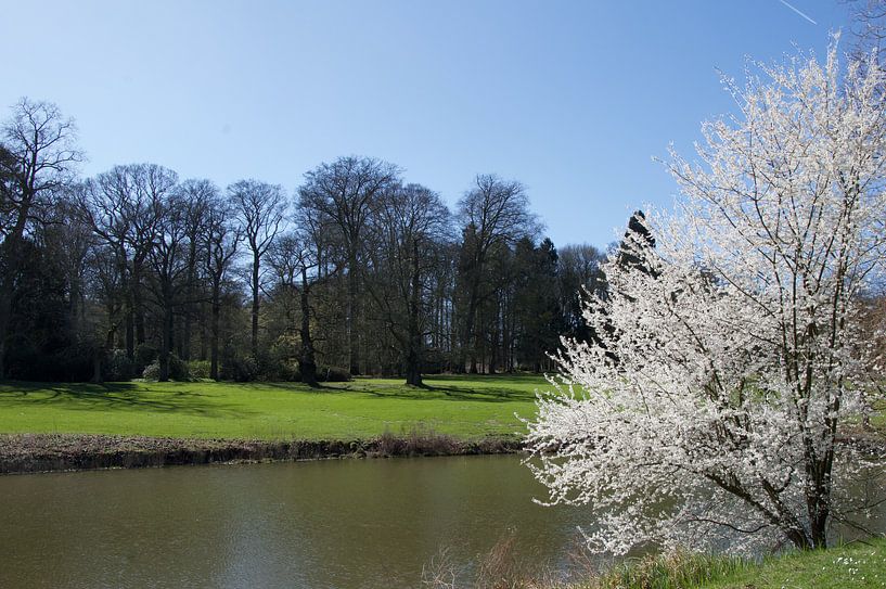 Het is lente in Meise by Kris Gevaert