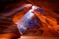 Pure Photodelight  2