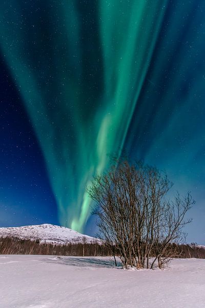 Aurora Northern Polar light in night sky over Northern Norway by Sjoerd van der Wal Photography