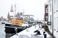 Maassluis sous la neige