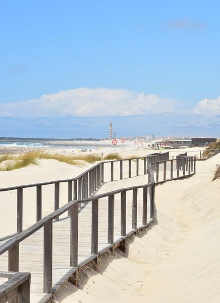 Vue sur la mer à Costa Nova, Portugal par Iris Fitsch