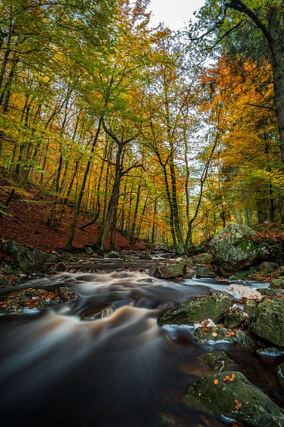 La Hoëgne von Peter Deschepper