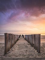 Verteidiger der Küste