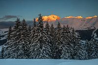 Abendliche Träumereien über das Mont-Blanc-Massiv im Winter