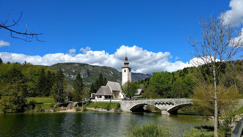 Village pittoresque au bord du lac Bohinj dans le parc national du Triglav par Maarten Lans