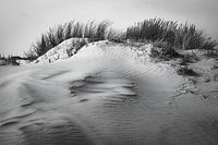 Terschellinger Dünen