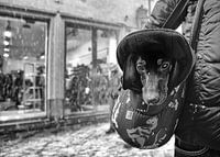 es schneit in der Stadt, und ich ......