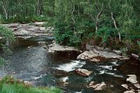 Die Natur in ihrer schottischen Pracht
