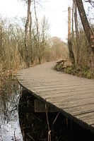 Rampe im Sumpf