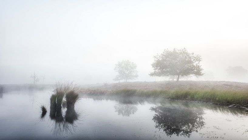 Réflexions brumeuses par Lex Schulte