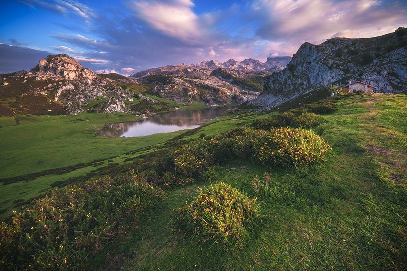 Asturias Lago de la Ercina by Jean Claude Castor