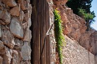 Between wood and featherlight