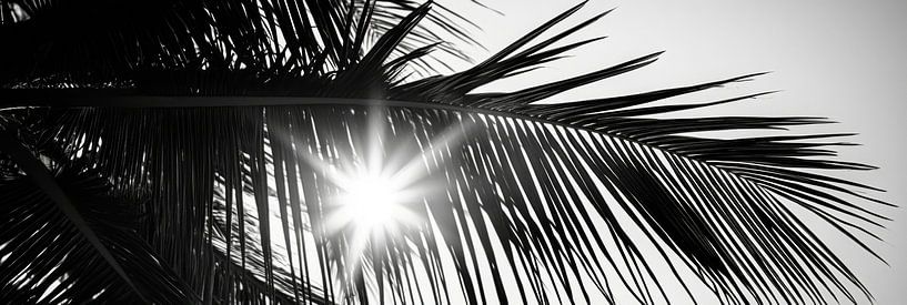 Sonnenstrahlen durch Palmenblätter von Poster Art Shop