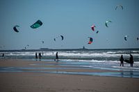 Kite flying by the sea - district by the sea