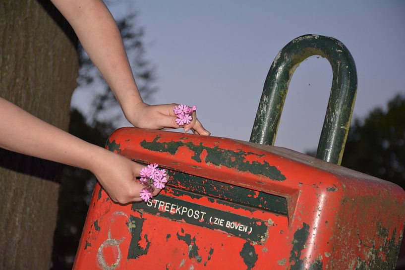 Blumen auf dem Pfosten von Sander van Deventer