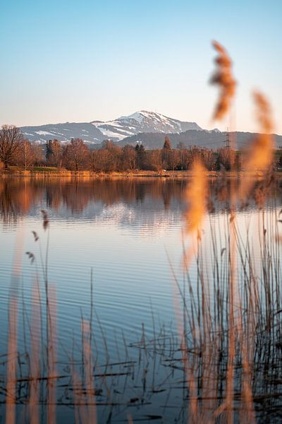 Spiegelung des  Sulzberger Sees mit dem Grünten  zum Abend von Leo Schindzielorz