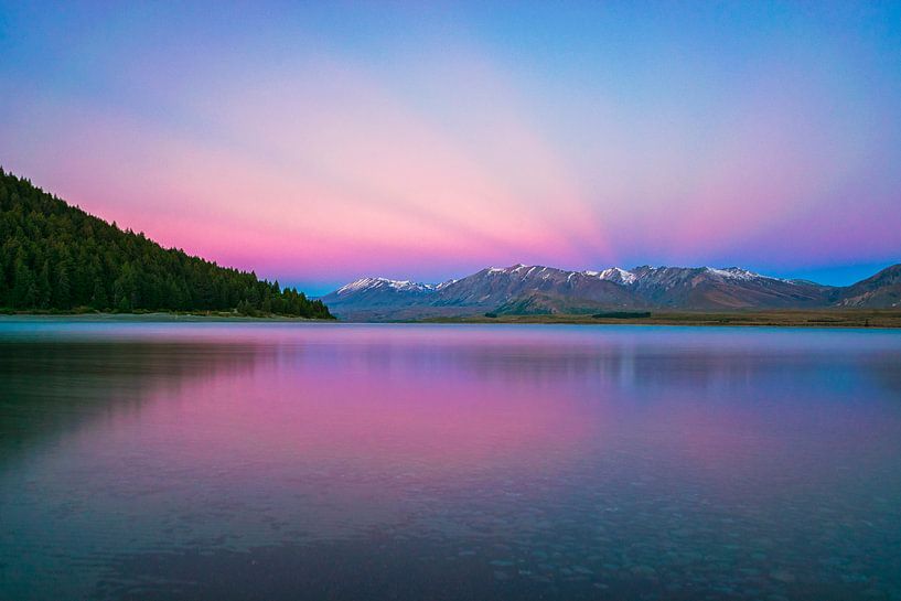 Veilchenhügel von Thom Brouwer