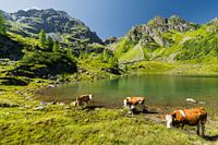 Schladminger Tauern II