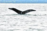 Kanada Straße von Georgien