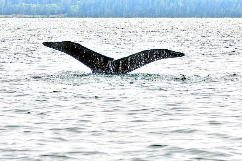 Kanada Straße von Georgien von Rene Verschuren