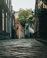Beautiful street in Haarlem