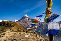 Foto van de Fishtail bergtop van de Mardi Himal trekking in Nepal, met kleurige wensvlaggetjes in de