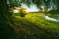 Sunset at Blaauwe Kamer