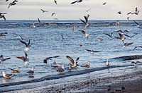 Katwijk aan Zee Serie - Blaues Meer