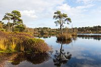 Het Voorste Goorven op een zonnige dag.