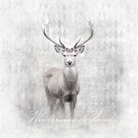 White Winter Wildlife Deer
