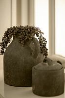 Still life with juniper branch