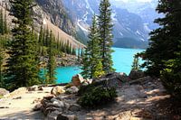 Lake Moraine im Banff-Nationalpark in Alberta, Kanada