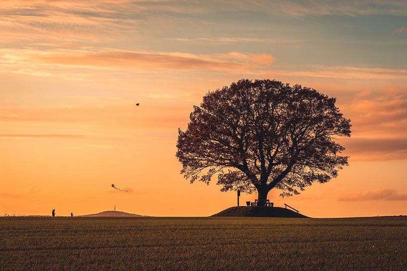 Drachensteigen an der Friedenseiche bei Hombressen von Catrin Grabowski