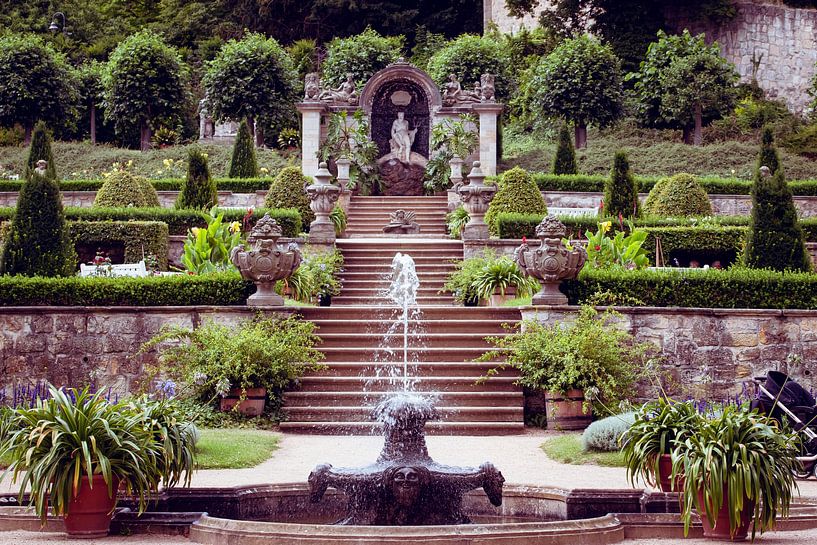 Der Garten Eden von D.R.Fotografie