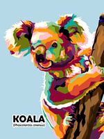 Australian animal endemik KOALA in amazing pop art