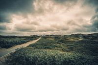 De weg naar de vuurtoren