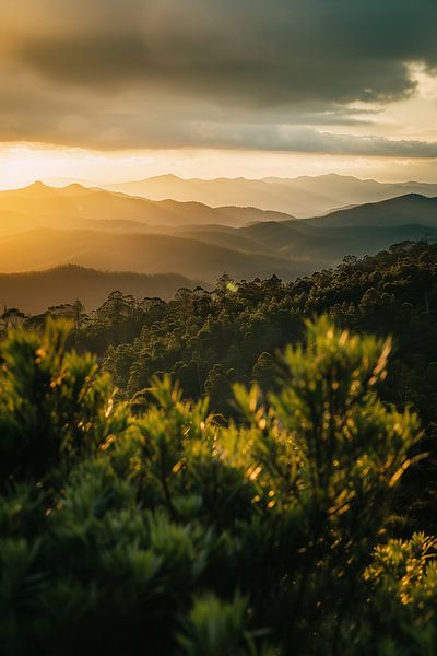 Wanderung in den Tag von fernlichtsicht