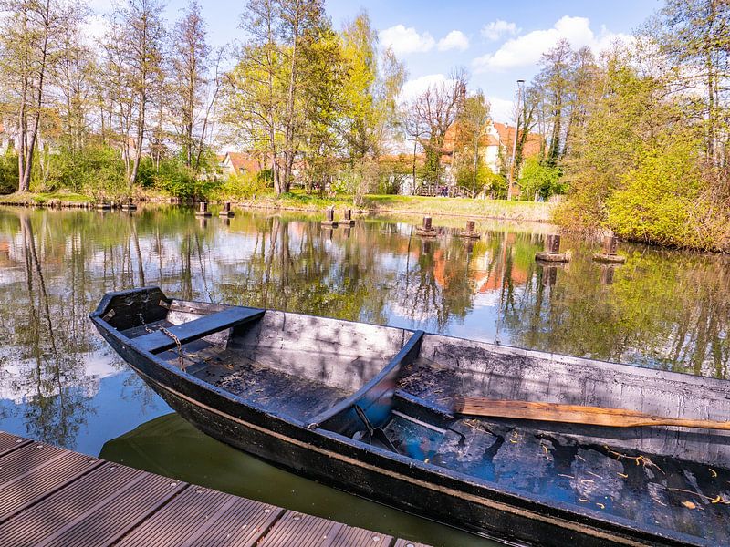 Holzkahn im Naturpark Spreewald von Animaflora PicsStock