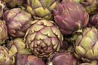 Artisjokken close up