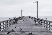 Goleta Pier