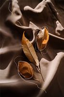 Flatlay, Stillleben eines warmen Herbstes