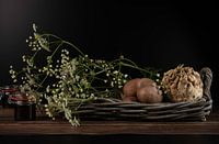 Still life: celeriac, potatoes and wild aniseed flowers