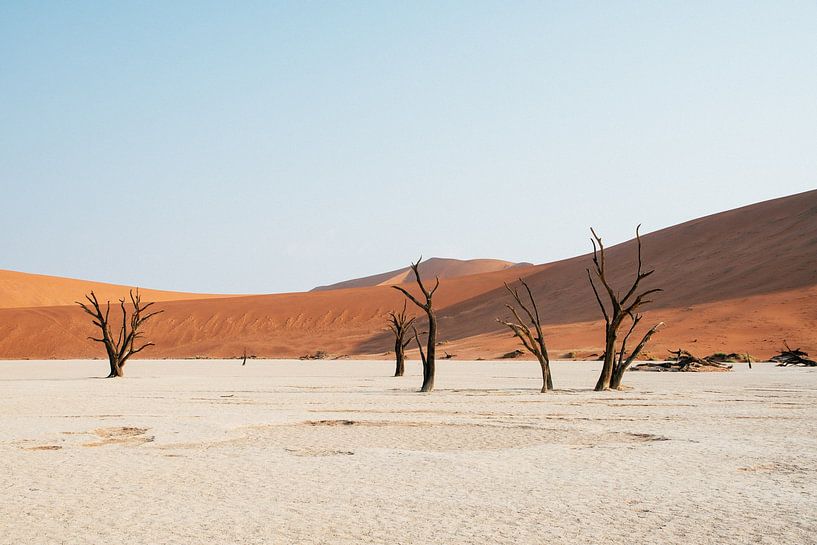 Deadvlei | Namibie, Sossusvlei par Suzanne Spijkers