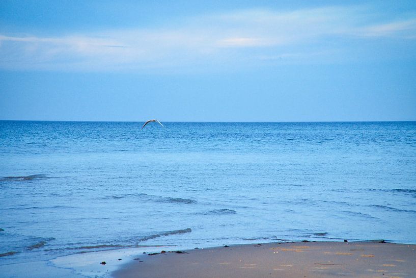 Sur la plage de sable de la mer Baltique par Martin Köbsch