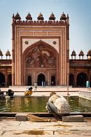 Beautiful Architecture India Palace