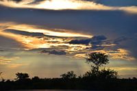 Zonsondergang in Zuid Afrika, Manyeleti Game Reserve